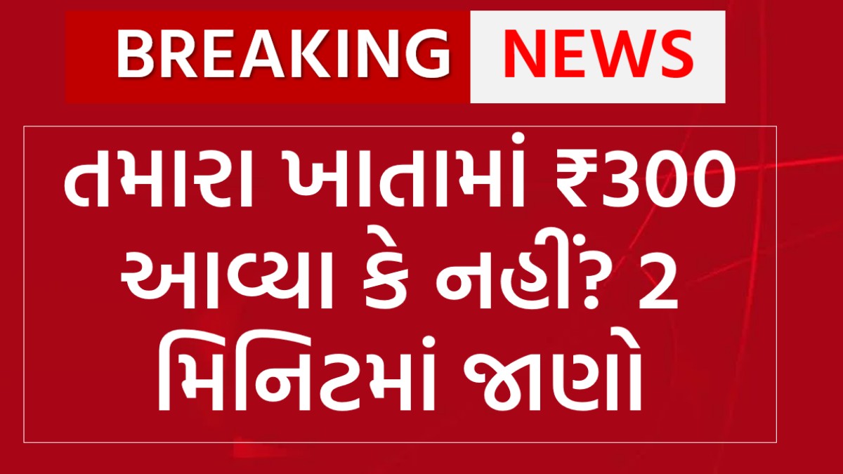 LPG gas subsidy 2025